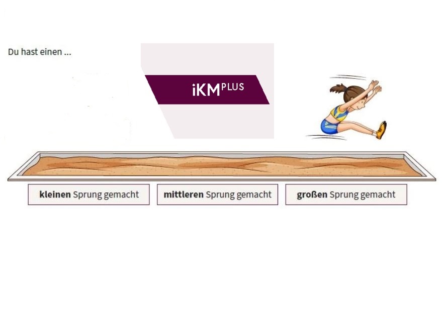  Ergebnisse IKM+ Testung